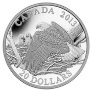 Canada 20 Dollars Mother Protecting Her Eaglets 2013 Proof CANADA 2013 20 DOLLARS coin reverse Canada 20 Dollars Mother Protecting Her Eaglets 2013 Proof CANADA 2013 20 DOLLARS coin reverse