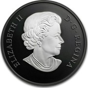 Canada 20 Dollars Nocturnal by Nature - Cunning Cougar 2018 Matte Proof ELIZABETH II D ∙ G ∙ REGINA coin obverse Canada 20 Dollars Nocturnal by Nature - Cunning Cougar 2018 Matte Proof ELIZABETH II D ∙ G ∙ REGINA coin obverse