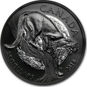 Canada 20 Dollars Nocturnal by Nature - Cunning Cougar 2018 Matte Proof 20 DOLLARS CANADA 2018 TB coin reverse Canada 20 Dollars Nocturnal by Nature - Cunning Cougar 2018 Matte Proof 20 DOLLARS CANADA 2018 TB coin reverse