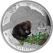 Canada 20 Dollars Porcupine 2016 Proof KM# 2207 CANADA 20 DOLLARS 2016 coin reverse Canada 20 Dollars Porcupine 2016 Proof KM# 2207 CANADA 20 DOLLARS 2016 coin reverse