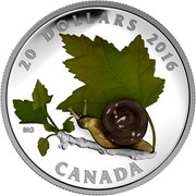 Canada 20 Dollars Snail 2016 Proof KM# 2189 20 DOLLARS 2016 MG CANADA coin reverse Canada 20 Dollars Snail 2016 Proof KM# 2189 20 DOLLARS 2016 MG CANADA coin reverse
