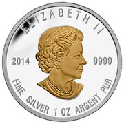 Canada 20 Dollars The Seven Sacred Teachings - Respect 2014 Proof KM# 1671 ELIZABETH II 2014 9999 FINE SILVER 1 OZ ARGENT PUR coin obverse Canada 20 Dollars The Seven Sacred Teachings - Respect 2014 Proof KM# 1671 ELIZABETH II 2014 9999 FINE SILVER 1 OZ ARGENT PUR coin obverse
