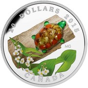 Canada 20 Dollars Venetian Glass Turtle with Broadleaf Arrowhead Flower in Murano Glass 2015 Proof 20 DOLLARS 2015 MG CANADA coin reverse