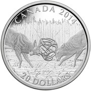 Canada 20 Dollars White-Tailed Deer - The Duel 2014 Proof KM# 1744 CANADA 2014 20 DOLLARS coin reverse Canada 20 Dollars White-Tailed Deer - The Duel 2014 Proof KM# 1744 CANADA 2014 20 DOLLARS coin reverse