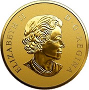 Canada 200 Dollars 30th Anniversary of the Silver Maple Leaf (Partially Silver Plated) 2018 Proof ELIZABETH II D G REGINA SB coin obverse Canada 200 Dollars 30th Anniversary of the Silver Maple Leaf (Partially Silver Plated) 2018 Proof ELIZABETH II D G REGINA SB coin obverse