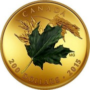 Canada 200 Dollars Alluring Maple Leaves of Fall - Green 2015 KM# 2062 CANADA 200 DOLLARS 2015 MG coin reverse