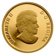 Canada 200 Dollars Bald Eagle Protecting Her Nest 2014 Proof KM# 1480 ELIZABETH II D ∙ G ∙ REGINA coin obverse Canada 200 Dollars Bald Eagle Protecting Her Nest 2014 Proof KM# 1480 ELIZABETH II D ∙ G ∙ REGINA coin obverse