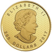 Canada 200 Dollars Canada 150 - Iconic Maple Leaf 2017 Matte Proof ELIZABETH II 200 DOLLARS 2017 coin obverse Canada 200 Dollars Canada 150 - Iconic Maple Leaf 2017 Matte Proof ELIZABETH II 200 DOLLARS 2017 coin obverse