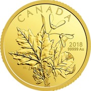 Canada 200 Dollars Enchanting Maple Leaves 2018 Proof CANADA 2018 99999 AU NL coin reverse Canada 200 Dollars Enchanting Maple Leaves 2018 Proof CANADA 2018 99999 AU NL coin reverse