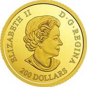 Canada 200 Dollars Enchanting Maple Leaves - Gold Platinum Plating 2018 Proof ELIZABETH II D • G • REGINA 200 DOLLARS SB coin obverse Canada 200 Dollars Enchanting Maple Leaves - Gold Platinum Plating 2018 Proof ELIZABETH II D • G • REGINA 200 DOLLARS SB coin obverse