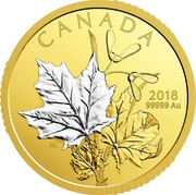 Canada 200 Dollars Enchanting Maple Leaves - Gold Platinum Plating 2018 Proof CANADA 2018 99999 AU NL coin reverse Canada 200 Dollars Enchanting Maple Leaves - Gold Platinum Plating 2018 Proof CANADA 2018 99999 AU NL coin reverse