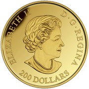 Canada 200 Dollars Tall Ships Legacy - Amazon 2016 Proof ELIZABETH II D∙G∙REGINA 200 DOLLARS coin obverse Canada 200 Dollars Tall Ships Legacy - Amazon 2016 Proof ELIZABETH II D∙G∙REGINA 200 DOLLARS coin obverse