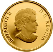 Canada 200 Dollars Wayne & Walter Gretzky 2011 Proof KM# 1174 ELIZABETH II D ∙ G ∙ REGINA coin obverse Canada 200 Dollars Wayne & Walter Gretzky 2011 Proof KM# 1174 ELIZABETH II D ∙ G ∙ REGINA coin obverse