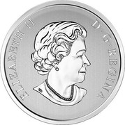 Canada 25 Cents Batman VS Superman: Dawn of Justice 2016 ELIZABETH II D • G • REGINA SB coin obverse Canada 25 Cents Batman VS Superman: Dawn of Justice 2016 ELIZABETH II D • G • REGINA SB coin obverse