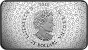 Canada 25 Dollars Salmon Run 2018 ELIZABETH II 2018 D • G • REGINA 25 DOLLARS SB coin obverse Canada 25 Dollars Salmon Run 2018 ELIZABETH II 2018 D • G • REGINA 25 DOLLARS SB coin obverse