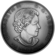 Canada 25 Dollars The Library of Parliament 2016 Proof ELIZABETH II D ∙ G ∙ REGINA 25 DOLLARS coin obverse Canada 25 Dollars The Library of Parliament 2016 Proof ELIZABETH II D ∙ G ∙ REGINA 25 DOLLARS coin obverse