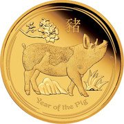 Australia 25 Dollars Year of the Pig 2019 YEAR OF THE PIG P coin reverse Australia 25 Dollars Year of the Pig 2019 YEAR OF THE PIG P coin reverse