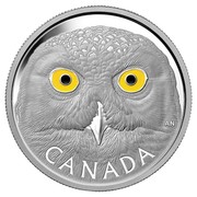 Canada 250 Dollars In the Eyes of the Snowy Owl 2014 Proof KM# 1605 CANADA AN coin reverse Canada 250 Dollars In the Eyes of the Snowy Owl 2014 Proof KM# 1605 CANADA AN coin reverse