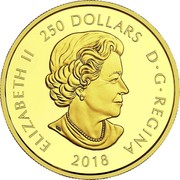 Canada 250 Dollars Magnificent Maple 2018 Proof ELIZABETH II 250 DOLLARS D • G • REGINA 2018 SB coin obverse Canada 250 Dollars Magnificent Maple 2018 Proof ELIZABETH II 250 DOLLARS D • G • REGINA 2018 SB coin obverse