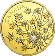 Canada 250 Dollars Magnificent Maple 2018 Proof CANADA VB coin reverse Canada 250 Dollars Magnificent Maple 2018 Proof CANADA VB coin reverse