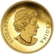 Canada 250 Dollars Maple Canopy - Kaleidoscope of Color 2016 Proof KM# 2259 ELIZABETH II D ∙ G ∙ REGINA coin obverse Canada 250 Dollars Maple Canopy - Kaleidoscope of Color 2016 Proof KM# 2259 ELIZABETH II D ∙ G ∙ REGINA coin obverse