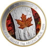 Canada 250 Dollars Maple Leaf Forever 2016 Proof KM# 2259 CANADA 9999 FINE SILVER 1 KG ARGENT PUR 9999 coin reverse Canada 250 Dollars Maple Leaf Forever 2016 Proof KM# 2259 CANADA 9999 FINE SILVER 1 KG ARGENT PUR 9999 coin reverse