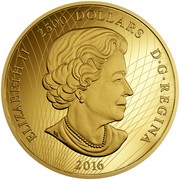 Canada 2500 Dollars In the Eyes of the Spirit Bear 2016 Proof ELIZABETH II 2500 DOLLARS D∙G∙REGINA 2016 coin obverse Canada 2500 Dollars In the Eyes of the Spirit Bear 2016 Proof ELIZABETH II 2500 DOLLARS D∙G∙REGINA 2016 coin obverse