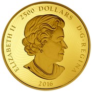 Canada 2500 Dollars The Arms of Canada 2016 Proof ELIZABETH II 2500 DOLLARS D∙G∙REGINA 2016 coin obverse Canada 2500 Dollars The Arms of Canada 2016 Proof ELIZABETH II 2500 DOLLARS D∙G∙REGINA 2016 coin obverse
