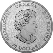 Canada 30 Dollars Canadian National Institute for the Blind CNIB 100th Anniversary 2018 Proof ELIZABETH II CANADA D G REGINA 30 DOLLARS SB coin obverse Canada 30 Dollars Canadian National Institute for the Blind CNIB 100th Anniversary 2018 Proof ELIZABETH II CANADA D G REGINA 30 DOLLARS SB coin obverse