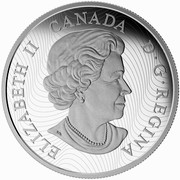 Canada 30 Dollars Fast and Furry 2015 Proof KM# 1983 ELIZABETH II CANADA D G REGINA SB coin obverse Canada 30 Dollars Fast and Furry 2015 Proof KM# 1983 ELIZABETH II CANADA D G REGINA SB coin obverse