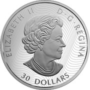Canada 30 Dollars Polar Bears 2018 Proof ELIZABETH II D • G • REGINA 30 DOLLARS SB coin obverse Canada 30 Dollars Polar Bears 2018 Proof ELIZABETH II D • G • REGINA 30 DOLLARS SB coin obverse