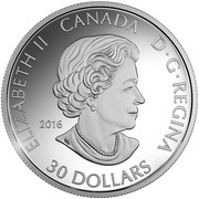 Canada 30 Dollars Pop Art Celebrating the Canada Goose 2016 Proof KM# 2225 ELIZABETH II CANADA D G REGINA 2016 30 DOLLARS SB coin obverse Canada 30 Dollars Pop Art Celebrating the Canada Goose 2016 Proof KM# 2225 ELIZABETH II CANADA D G REGINA 2016 30 DOLLARS SB coin obverse