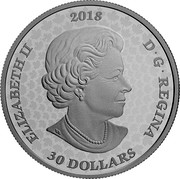Canada 30 Dollars Royal Canadian Mint Gates 2018 Proof ELIZABETH II 2018 D • G • REGINA 30 DOLLARS SB coin obverse Canada 30 Dollars Royal Canadian Mint Gates 2018 Proof ELIZABETH II 2018 D • G • REGINA 30 DOLLARS SB coin obverse