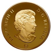 Canada 300 Dollars Alberta - Provincial Coat of Arms 2008 Proof KM# 825 ELIZABETH II D ∙ G ∙ REGINA coin obverse