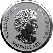 Canada 300 Dollars Fractional Set - A Royal Wedding Anniversary 2017 Proof ELIZABETH II D • G • REGINA 300 DOLLARS SB coin obverse Canada 300 Dollars Fractional Set - A Royal Wedding Anniversary 2017 Proof ELIZABETH II D • G • REGINA 300 DOLLARS SB coin obverse