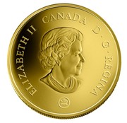 Canada 300 Dollars Panoramic Photography 2007 Proof KM# 740 ELIZABETH II CANADA D ∙ G ∙ REGINA coin obverse Canada 300 Dollars Panoramic Photography 2007 Proof KM# 740 ELIZABETH II CANADA D ∙ G ∙ REGINA coin obverse