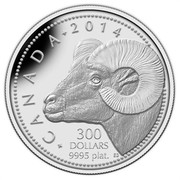 Canada 300 Dollars Rocky Mountain Bighorn Sheep 2014 Proof KM# 1560 CANADA 2014 300 DOLLARS 9995 PLAT.ES coin reverse