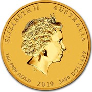 Australia 3000 Dollars Year of the Pig 2019 ELIZABETH II AUSTRALIA 1 KG 9999 GOLD 2019 3000 DOLLARS IRB coin obverse