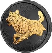 Canada 5 Dollars Canadian Wolf (Golden Enigma) 2018 BU CANADA 9999 FINE SILVER 1 OZ ARGENT PUR NL coin reverse Canada 5 Dollars Canadian Wolf (Golden Enigma) 2018 BU CANADA 9999 FINE SILVER 1 OZ ARGENT PUR NL coin reverse