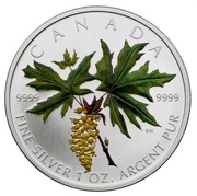 Canada 5 Dollars Coloured Maple Leaf - Bigleaf Maple 2005 KM# 550 CANADA 9999 9999 SW FINE SILVER 1 OZ ARGENT PUR coin reverse Canada 5 Dollars Coloured Maple Leaf - Bigleaf Maple 2005 KM# 550 CANADA 9999 9999 SW FINE SILVER 1 OZ ARGENT PUR coin reverse