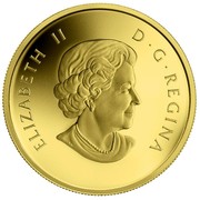 Canada 5 Dollars Grizzly Bear 2014 Proof KM# 1611 ELIZABETH II D G REGINA coin obverse Canada 5 Dollars Grizzly Bear 2014 Proof KM# 1611 ELIZABETH II D G REGINA coin obverse