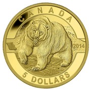 Canada 5 Dollars Grizzly Bear 2014 Proof KM# 1611 CANADA 2014 5 DOLLARS coin reverse Canada 5 Dollars Grizzly Bear 2014 Proof KM# 1611 CANADA 2014 5 DOLLARS coin reverse