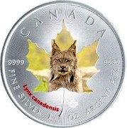 Canada 5 Dollars Lynx 2015 CANADA 9999 9999 FINE SILVER 1 OZ ARGENT PUR LYNX CANADENSIS coin reverse Canada 5 Dollars Lynx 2015 CANADA 9999 9999 FINE SILVER 1 OZ ARGENT PUR LYNX CANADENSIS coin reverse