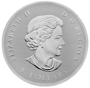Canada 5 Dollars Maple Leaf 2010 Reverse Proof KM# 1077 ELIZABETH II D ∙ G ∙ REGINA 5 DOLLARS coin obverse Canada 5 Dollars Maple Leaf 2010 Reverse Proof KM# 1077 ELIZABETH II D ∙ G ∙ REGINA 5 DOLLARS coin obverse