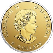 Canada 5 Dollars Maple Leaf Fractional Set - A Celebration of Canada (1867-2017) 2016 ELIZABETH II D • G • REGINA 5 DOLLARS SB coin obverse Canada 5 Dollars Maple Leaf Fractional Set - A Celebration of Canada (1867-2017) 2016 ELIZABETH II D • G • REGINA 5 DOLLARS SB coin obverse