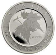 Canada 5 Dollars Maple Leaf of Hope 2005 Proof KM# 924 CANADA 9999 9999 希望之楓 TN FINE SILVER 1 OZ ARGENT PUR coin reverse Canada 5 Dollars Maple Leaf of Hope 2005 Proof KM# 924 CANADA 9999 9999 希望之楓 TN FINE SILVER 1 OZ ARGENT PUR coin reverse