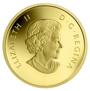 Canada 50 Cents Boreal Forest 2011 KM# 1204 ELIZABETH II D ∙ G ∙ REGINA SB coin obverse Canada 50 Cents Boreal Forest 2011 KM# 1204 ELIZABETH II D ∙ G ∙ REGINA SB coin obverse