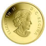 Canada 50 Cents Peregrine Falcon 2011 Proof KM# 1206 ELIZABETH II D∙G∙REGINA coin obverse Canada 50 Cents Peregrine Falcon 2011 Proof KM# 1206 ELIZABETH II D∙G∙REGINA coin obverse
