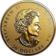 Canada 50 Dollars Fractional Maple Leaf Tribute 2018 Reverse Proof ELIZABETH II D • G • REGINA 50 DOLLARS SB coin obverse Canada 50 Dollars Fractional Maple Leaf Tribute 2018 Reverse Proof ELIZABETH II D • G • REGINA 50 DOLLARS SB coin obverse