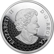 Canada 50 Dollars Murano's Best - Aster with Bumble Bee 2018 ELIZABETH II D • G • REGINA SB coin obverse Canada 50 Dollars Murano's Best - Aster with Bumble Bee 2018 ELIZABETH II D • G • REGINA SB coin obverse